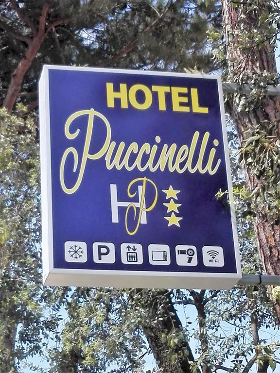 Hotel Puccinelli Лідо-ді-Камайоре Екстер'єр фото